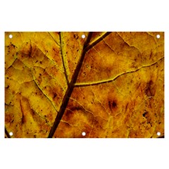 Leaf Leaf Veins Fall Banner And Sign 6  X 4 