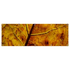 Leaf Leaf Veins Fall Banner And Sign 12  X 4  by artworkshop