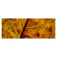 Leaf Leaf Veins Fall Banner And Sign 8  X 3 