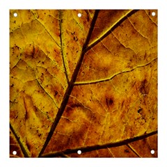 Leaf Leaf Veins Fall Banner And Sign 3  X 3 