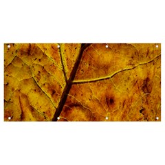 Leaf Leaf Veins Fall Banner And Sign 8  X 4 