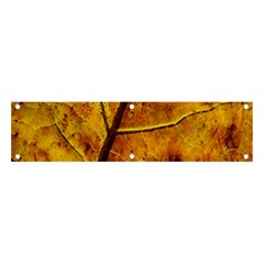 Leaf Leaf Veins Fall Banner And Sign 4  X 1 