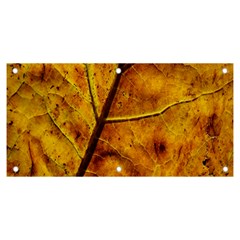 Leaf Leaf Veins Fall Banner And Sign 6  X 3 