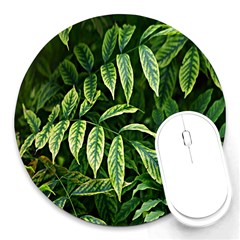 Leaves Foliage Twig Bush Plant Round Mousepads by artworkshop