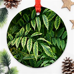 Leaves Foliage Twig Bush Plant Ornament (round) by artworkshop