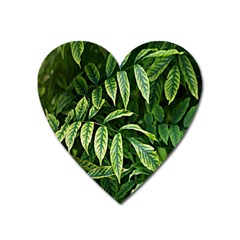 Leaves Foliage Twig Bush Plant Heart Magnet by artworkshop