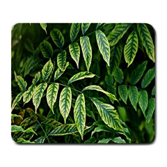 Leaves Foliage Twig Bush Plant Large Mousepads by artworkshop