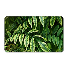 Leaves Foliage Twig Bush Plant Magnet (rectangular) by artworkshop