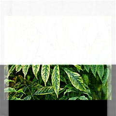 Leaves Foliage Twig Bush Plant Rectangular Jigsaw Puzzl by artworkshop