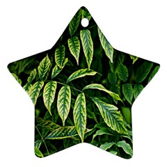 Leaves Foliage Twig Bush Plant Star Ornament (two Sides) by artworkshop