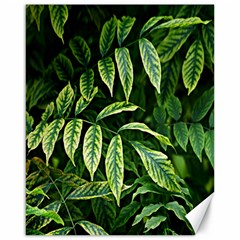 Leaves Foliage Twig Bush Plant Canvas 16  X 20  by artworkshop