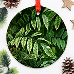 Leaves Foliage Twig Bush Plant Round Ornament (Two Sides) Front