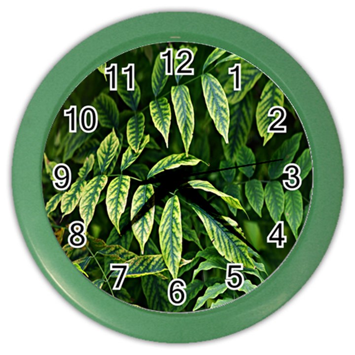 Leaves Foliage Twig Bush Plant Color Wall Clock