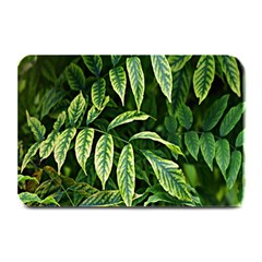 Leaves Foliage Twig Bush Plant Plate Mats by artworkshop