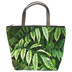 Leaves Foliage Twig Bush Plant Bucket Bag Front