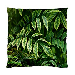 Leaves Foliage Twig Bush Plant Standard Cushion Case (one Side) by artworkshop