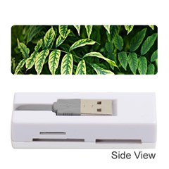 Leaves Foliage Twig Bush Plant Memory Card Reader (stick) by artworkshop