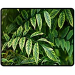 Leaves Foliage Twig Bush Plant Fleece Blanket (Medium)  60 x50  Blanket Front