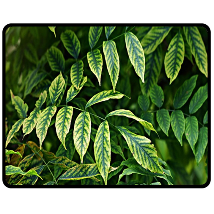 Leaves Foliage Twig Bush Plant Fleece Blanket (Medium) 