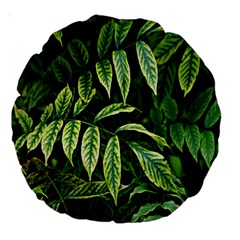 Leaves Foliage Twig Bush Plant Large 18  Premium Round Cushions by artworkshop