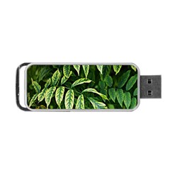 Leaves Foliage Twig Bush Plant Portable Usb Flash (two Sides) by artworkshop