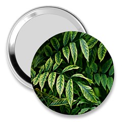 Leaves Foliage Twig Bush Plant 3  Handbag Mirrors by artworkshop