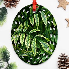 Leaves Foliage Twig Bush Plant Oval Filigree Ornament (two Sides) by artworkshop