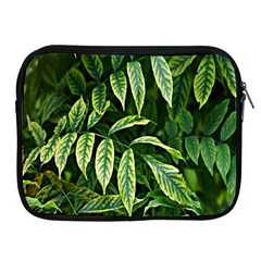 Leaves Foliage Twig Bush Plant Apple Ipad 2/3/4 Zipper Cases by artworkshop