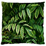 Leaves Foliage Twig Bush Plant Standard Flano Cushion Case (Two Sides) Front