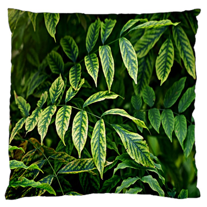 Leaves Foliage Twig Bush Plant Standard Flano Cushion Case (Two Sides)