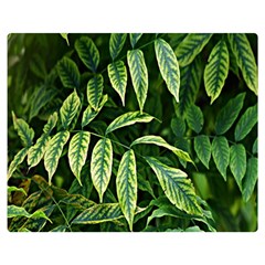 Leaves Foliage Twig Bush Plant Double Sided Flano Blanket (medium)  by artworkshop