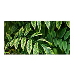 Leaves Foliage Twig Bush Plant Satin Wrap 35  X 70 