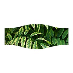 Leaves Foliage Twig Bush Plant Stretchable Headband by artworkshop