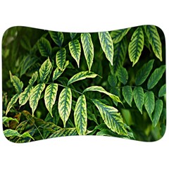 Leaves Foliage Twig Bush Plant Velour Seat Head Rest Cushion by artworkshop