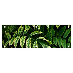 Leaves Foliage Twig Bush Plant Banner And Sign 6  X 2  by artworkshop