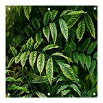 Leaves Foliage Twig Bush Plant Banner and Sign 3  x 3  Front