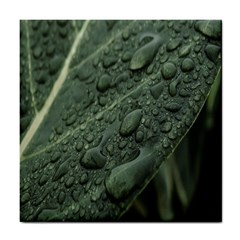 Leaves Water Drops Green  Tile Coaster by artworkshop