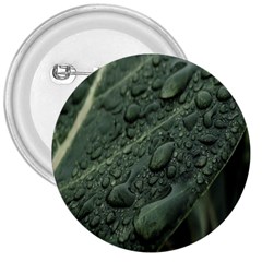 Leaves Water Drops Green  3  Buttons by artworkshop