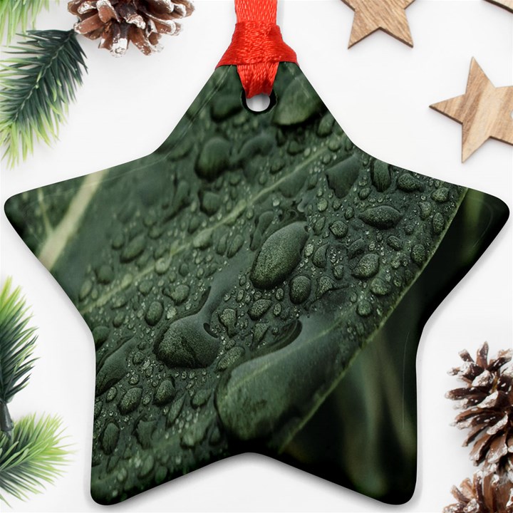 Leaves Water Drops Green  Ornament (Star)