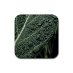 Leaves Water Drops Green  Rubber Square Coaster (4 Pack) by artworkshop