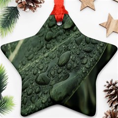 Leaves Water Drops Green  Ornament (star) by artworkshop