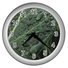 Leaves Water Drops Green  Wall Clock (silver) by artworkshop