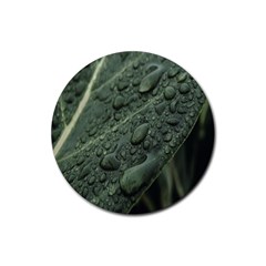 Leaves Water Drops Green  Rubber Coaster (round) by artworkshop