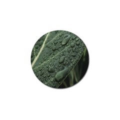 Leaves Water Drops Green  Golf Ball Marker (4 Pack) by artworkshop