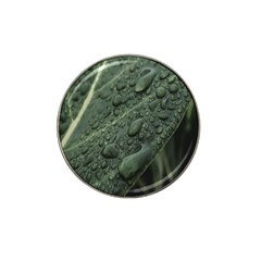 Leaves Water Drops Green  Hat Clip Ball Marker (4 Pack) by artworkshop