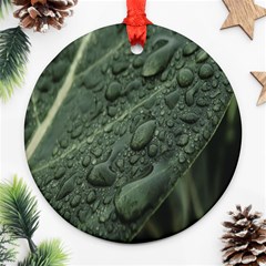 Leaves Water Drops Green  Round Ornament (two Sides) by artworkshop