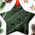 Leaves Water Drops Green  Star Ornament (Two Sides) Front