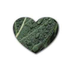 Leaves Water Drops Green  Rubber Coaster (heart) by artworkshop