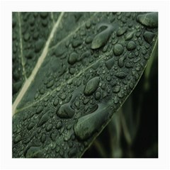 Leaves Water Drops Green  Medium Glasses Cloth