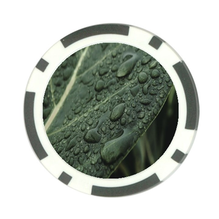 Leaves Water Drops Green  Poker Chip Card Guard